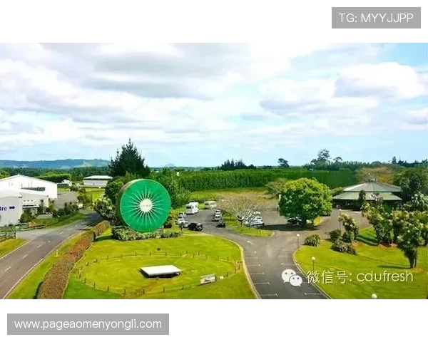 永利集团在旅游休闲产业的布局与未来规划