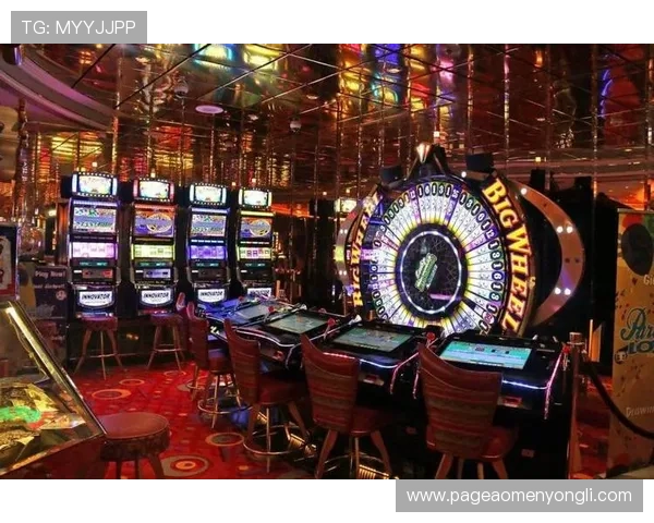 澳门哪个赌场比较好，适合高额赌客的顶级赌场推荐