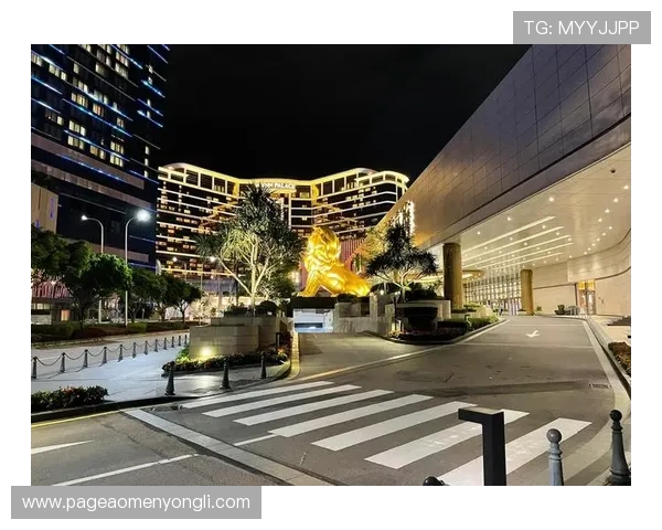 澳门前十赌场最新排名，带你领略澳门最具魅力的娱乐天堂