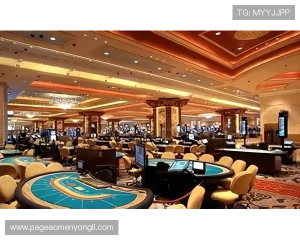 澳门十大赌场名字排行榜，揭示最受欢迎的赌场品牌与娱乐体验