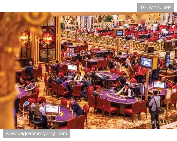 澳门永利赌场优惠政策全攻略助你在娱乐中轻松实现财富增值